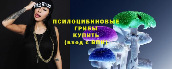 меф Заводоуковск