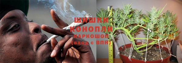 ГАЛЛЮЦИНОГЕННЫЕ ГРИБЫ Заволжск