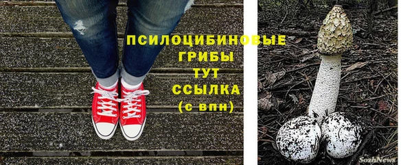 меф Заводоуковск